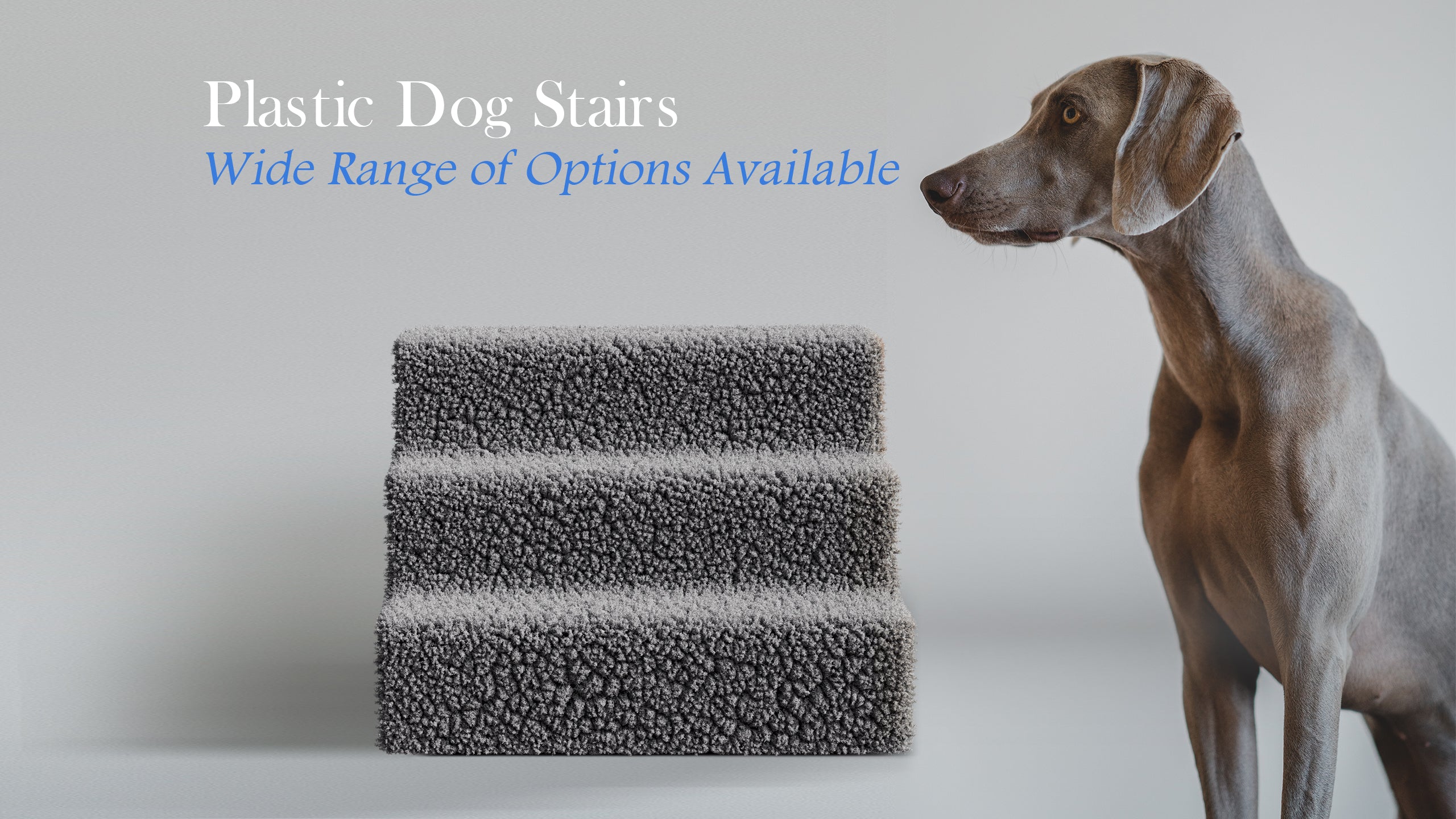 Plastic clearance dog stairs