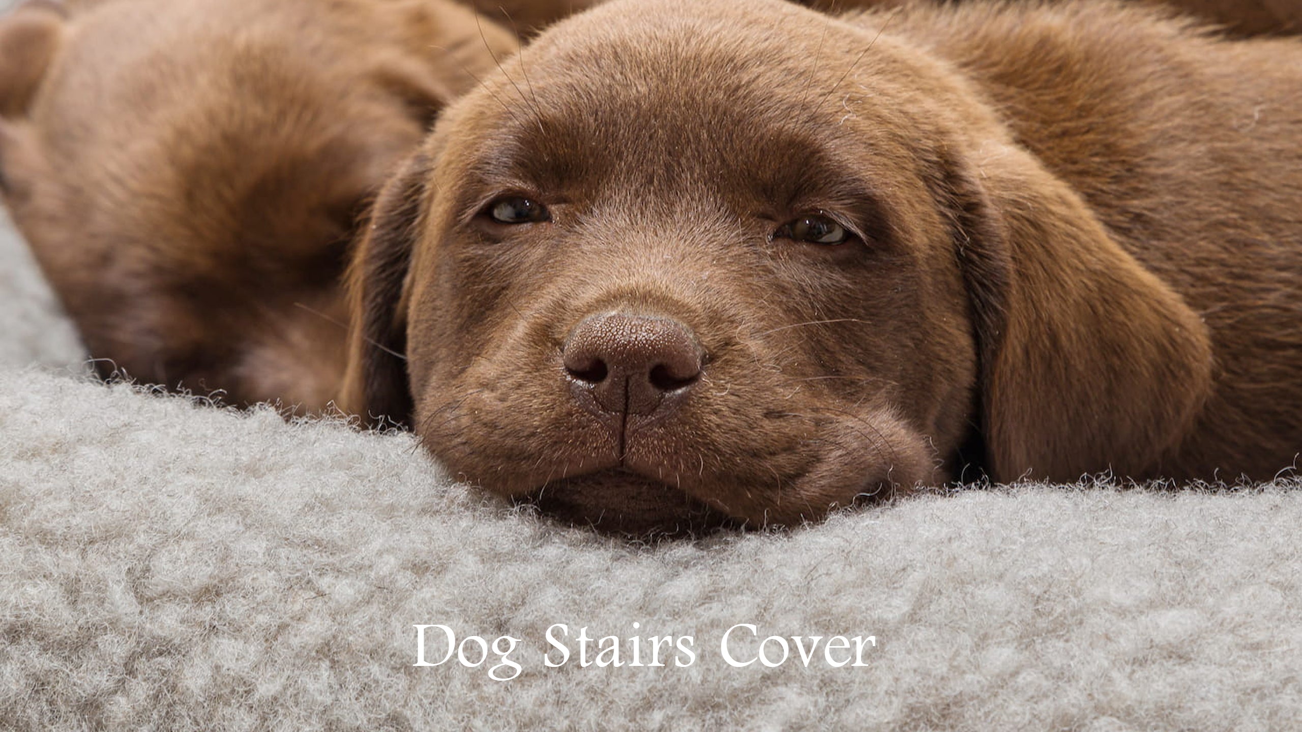 TOPMART Dog Stair Replacement Cover Topmart