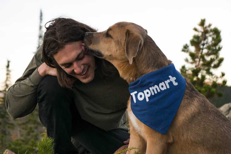 Topmart: Dog stairs, Cat window seat, Pet Supplies online store